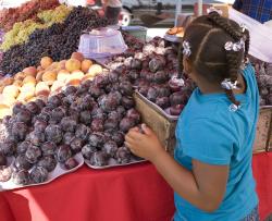 child at farmers market