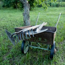 rake, wheel barrow and shovel