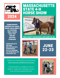 Horse Show Graphic