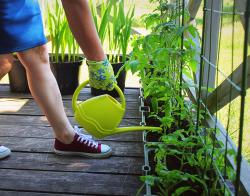 person watering container garden on deck