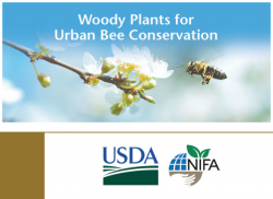 Webcast detailing research about woody plants that support diverse pollinator communities