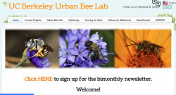 UC Berkeley Urban Bee Lab