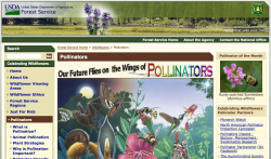 U.S. Forest Service Pollinator page