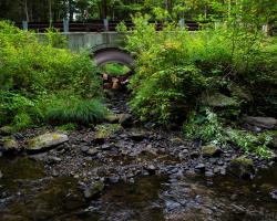 Replace or retrofit deficient culverts to restore and maintain terrestrial and aquatic connectivity