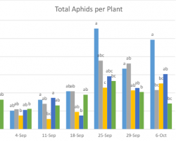 Graph showing aphids per plant in the more effective treatments.