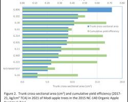 Figure 2.Trunk crossͲsectional area (cm2) and cumulative yield efficiency (2017Ͳ 21, kg/cm2 TCA) in 2021 of Modi apple trees in the 2015 NCͲ140 Organic Apple Rootstock Trial.