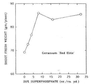 Geranium Growth Chart