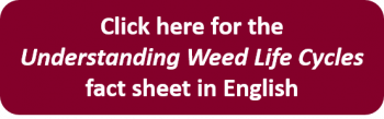 Click here for the Understanding Weed Life Cycles fact sheet in English