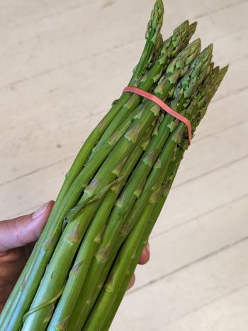 A bunch of asparagus with a bindweed leaf inside.