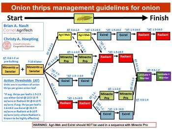 A diagram showing several potential spray programs.