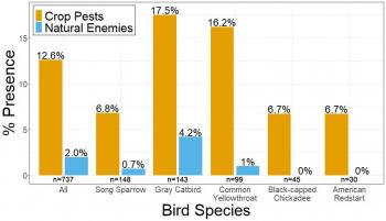 A bar graph