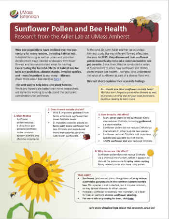 Sunflower Fact Sheet, Page 1