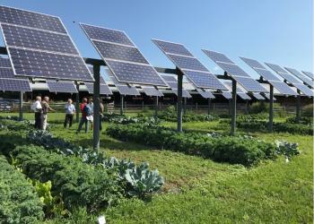 Dual-Use Solar Installation at the South Deerfield Crop and Animal Research and Education Farm. Source: CEE files