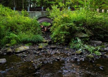 Replace or retrofit deficient culverts to restore and maintain terrestrial and aquatic connectivity