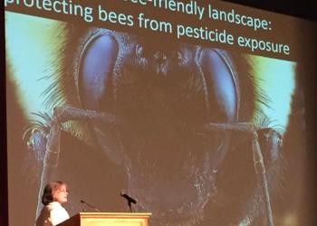 Dr. Anne Averill moderates Pollinator Health Symposium