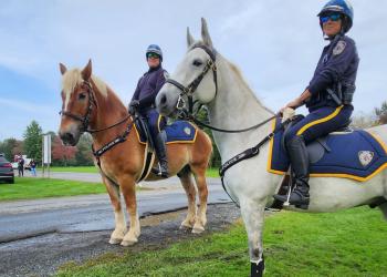 Hadley Farm Prepares to Welcome Newest Members of UMPD Mounted Unit