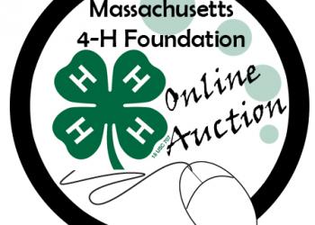 4-H Foundation Auction Logo