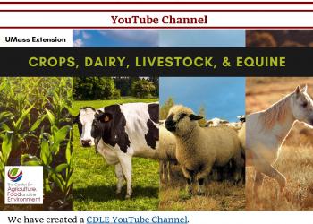 CDLE News  Center for Agriculture, Food, and the Environment at