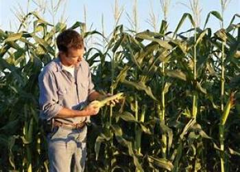 photo of boy in corn field