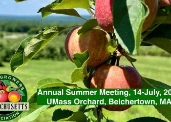 MFGA Annual Summer Meeting banner