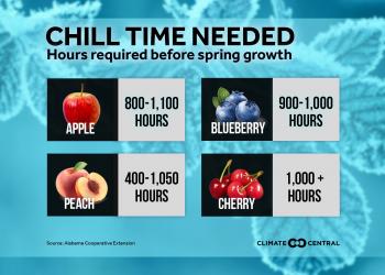 graphic showing the chilling hours required for common tree fruit crops