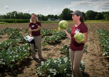 Mass Ag Field Day research updates