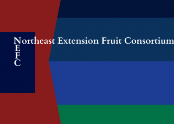 Blocked color background of shades of blue and maroon with the words northeast extension fruit consortium typed horizontally and its acronym NEFC typed vertically