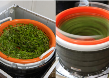 Image of a modified washing machine used to spin dry leafy greens.