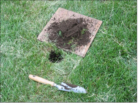 Use a small board when breaking up soil samples for insect monitoring to minimize turf disruption and mess.  