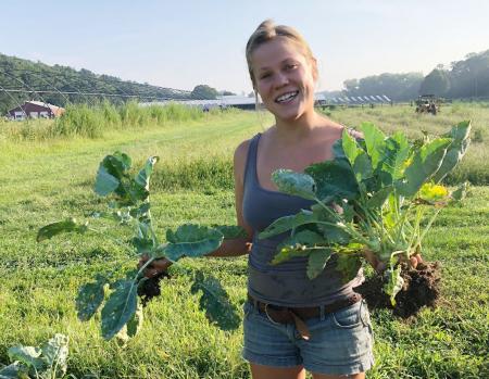Alexa Smychkovich, graduate student, harvests kohlrabi weekly to check nitrogen levels