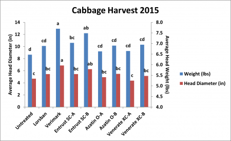 Cabbage harvest data