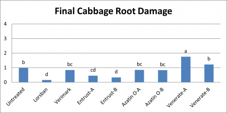 Final cabbage root damage graph