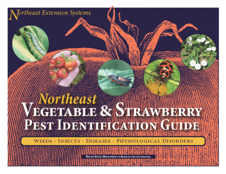 Cover of the New England Vegetable & Pest Identification Guide
