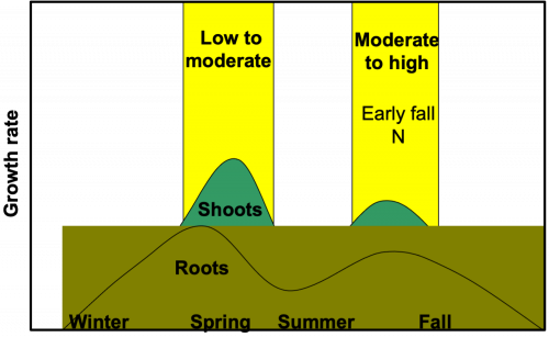 Periods of Peak Nitrogen Use: Cool-Season Grass