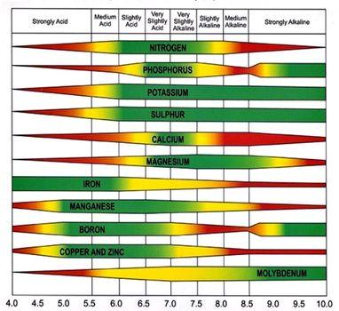 A diagram showing nutrient availability at a range of soil pH.