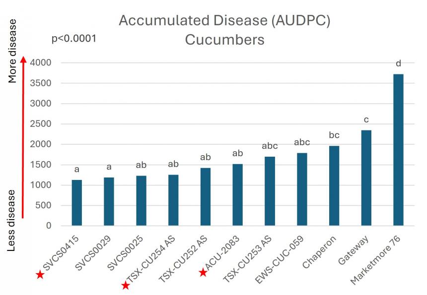  Cucurbit downy mildew accumulation over time