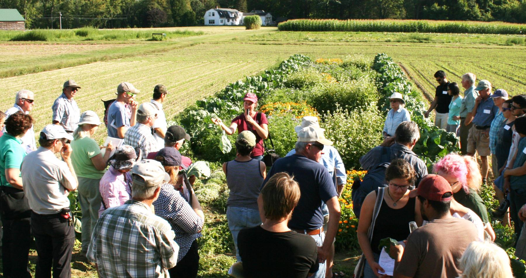 Sue Scheufele, leader of the production agriculture areas in the Extension Agriculture Program, presents to growers at the UMass Crop and Animal Research and Education Farm in South Deerfield.