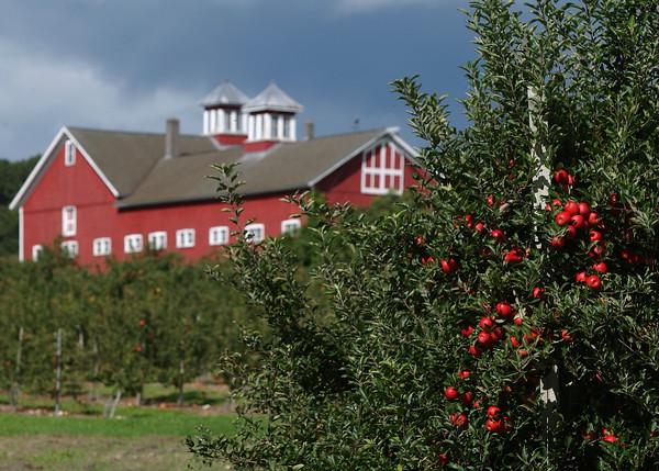 Cold Spring Orchard barn and apples