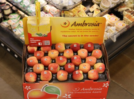 Ambrosia apples in a box