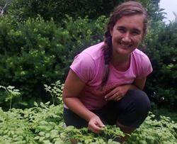 Cassie Sefton, UMass student intern plants urban garden at ALC