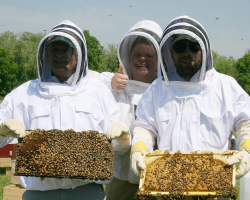 Lebeaux, Skyrm, Sieger hold full bee frames
