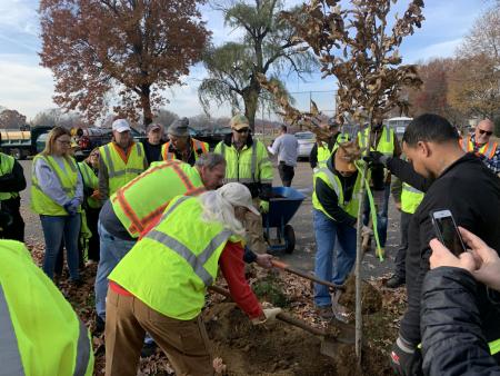 Springfield residents plant trees. 