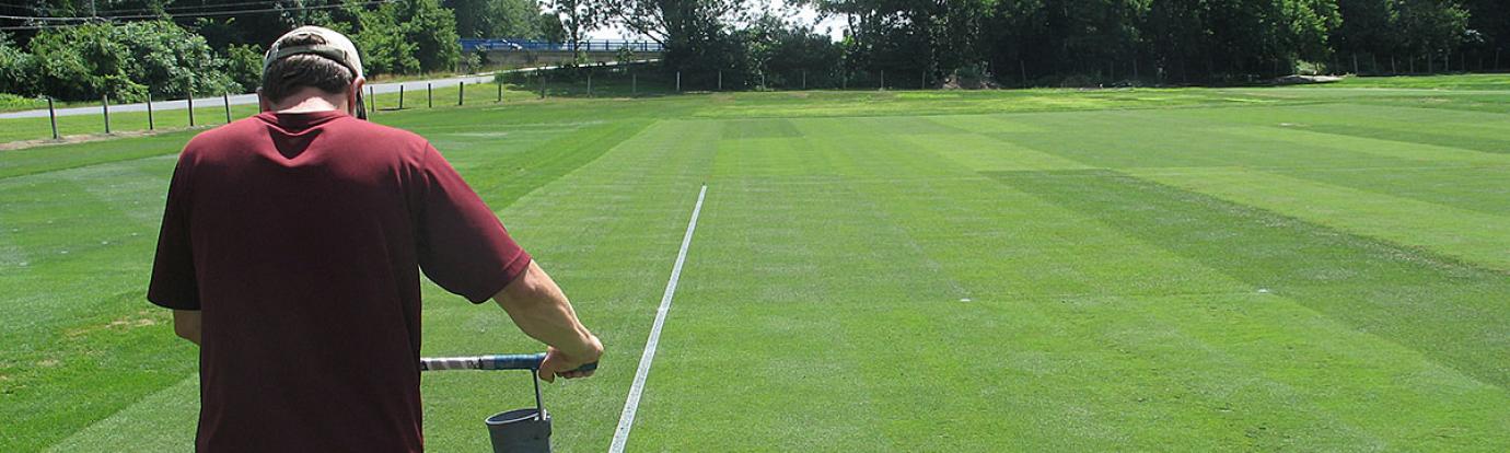 A graduate student paints lines on the grass tennis court research plots at the Joseph Troll Turf Research Center.
