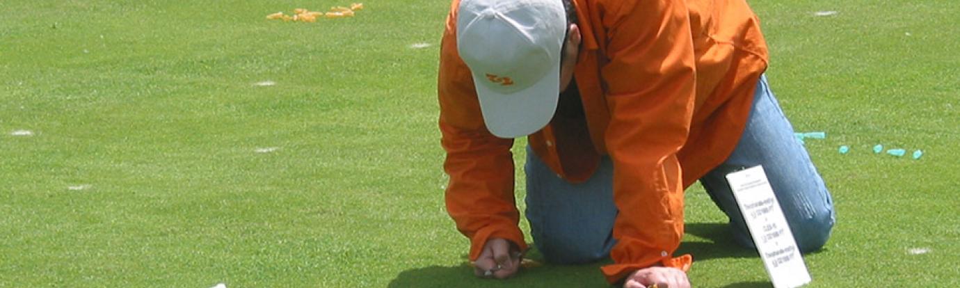 UMass Extension Turf Program