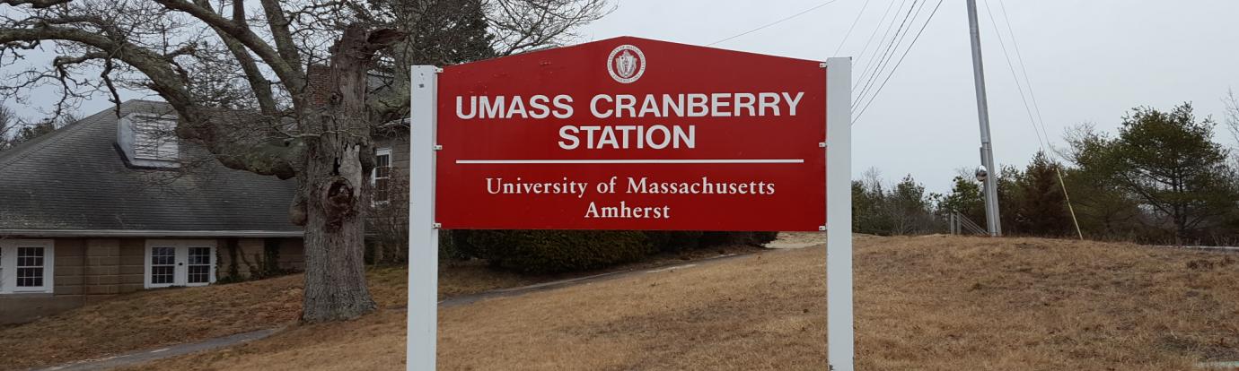 UMass Cranberry Station