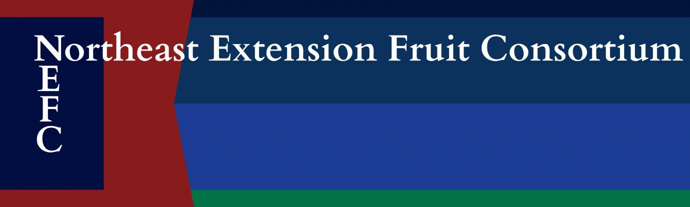 Block colors overlayed with text that reads Northeast Extension Fruit Consortium