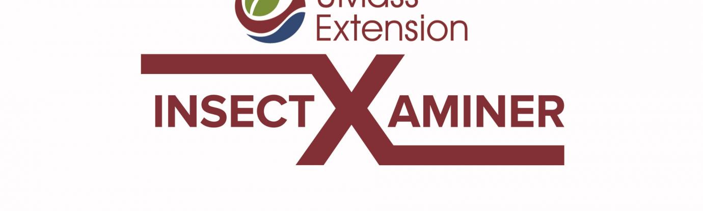 UMass Extensions InsectXaminer
