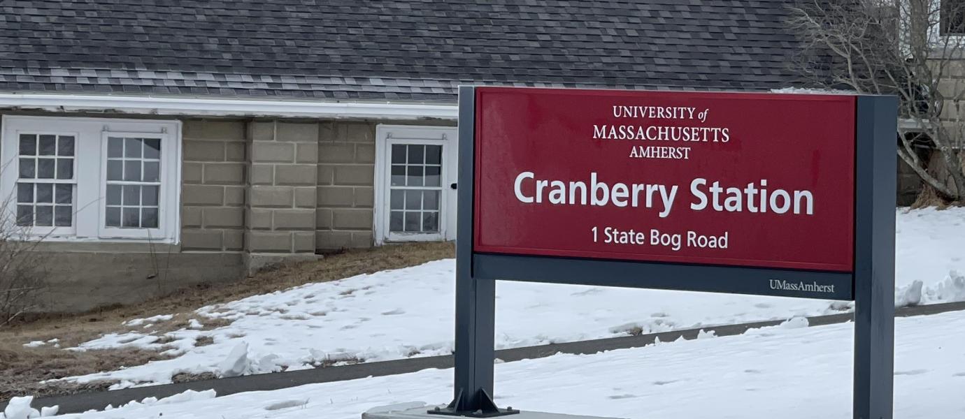 UMass Cranberry Station sign