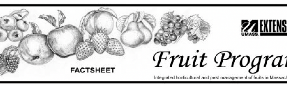 fruit fact sheet header