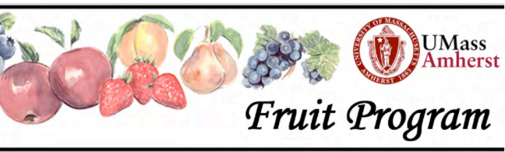 UMass Fruit Program Header Image